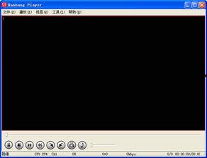 监控视频播放器