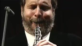 西亚斯视频,一段穿越历史与文化的视觉之旅